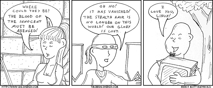 Comic graphic for 2003-11-05: Three Forks