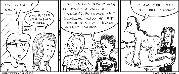 Comic graphic for 2003-12-21: Denvesterjordmedmangej?vlarpokkerdumskraelingaland