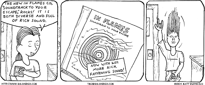 Comic graphic for 2004-04-11: PSA: In Flames