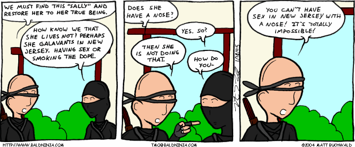 Comic graphic for 2005-01-18: Bald Wisdom