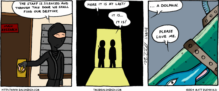 Comic graphic for 2005-01-28: Destiny Revealed