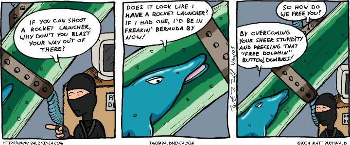Comic graphic for 2005-01-30: Damn Stupid Ninjas
