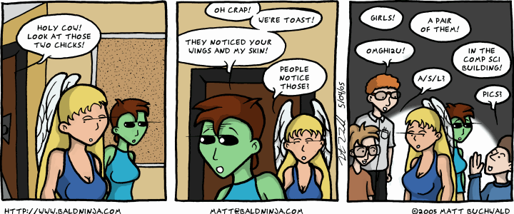 Comic graphic for 2005-05-04: Swarm of Geeks