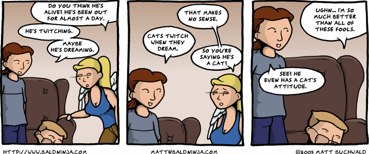 Comic graphic for 2005-08-11: Next Afternoon