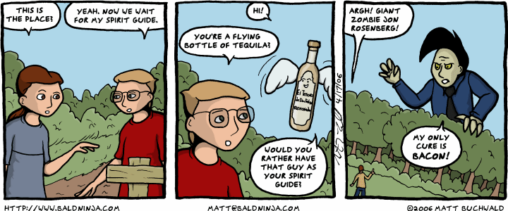 Comic graphic for 2006-04-17: Spirit Guide