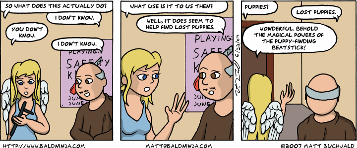 Comic graphic for 2007-06-22: Functional and Practical