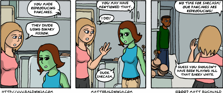 Comic graphic for 2007-08-03: Panic Griddle Panic