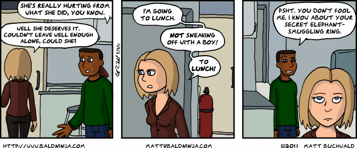 Comic graphic for 2011-05-03: Secret Operations